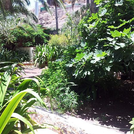 El Jardin Lejlighed Mogán Eksteriør billede